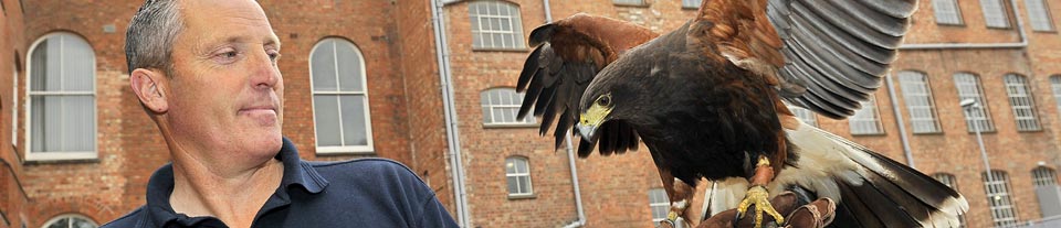 a photo of a falconer with his bird