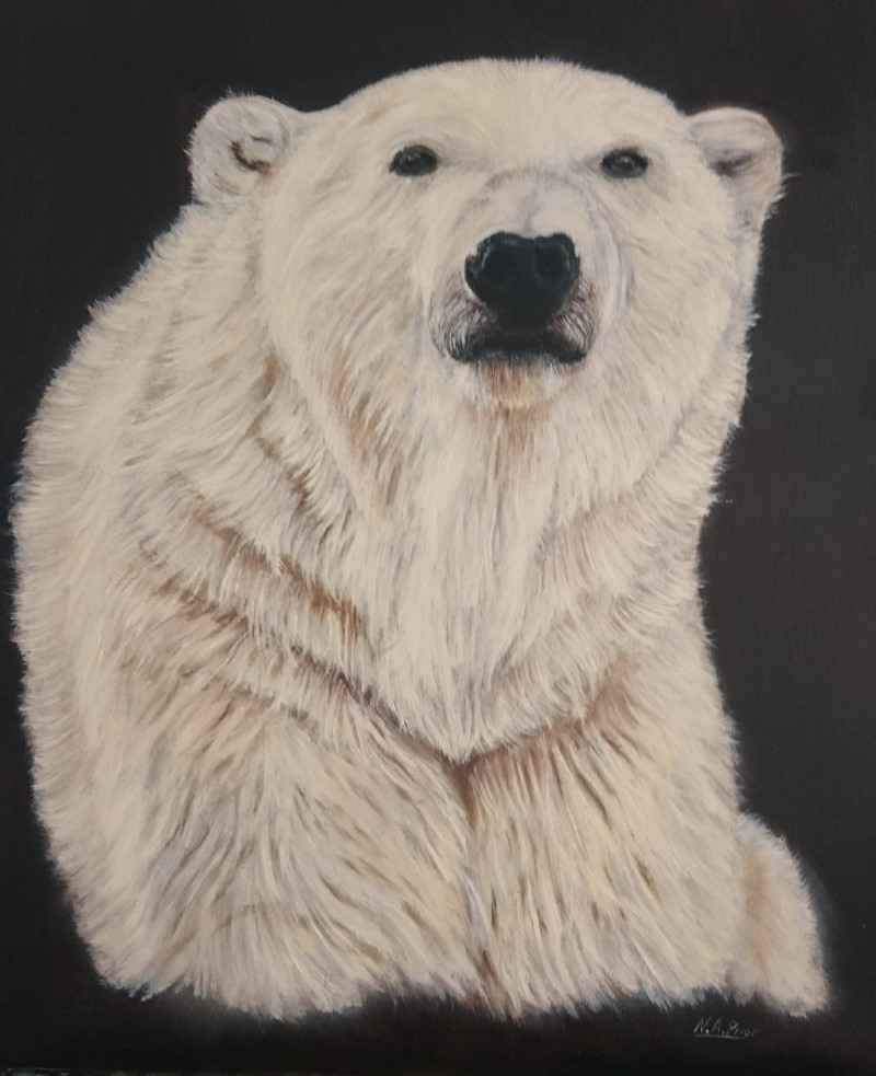 A photo of 'Polar Bear ' by Neil Prior