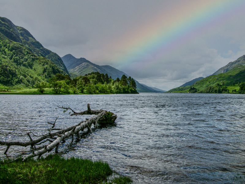 A photo of 'Loch Duich ' by D Gallimore