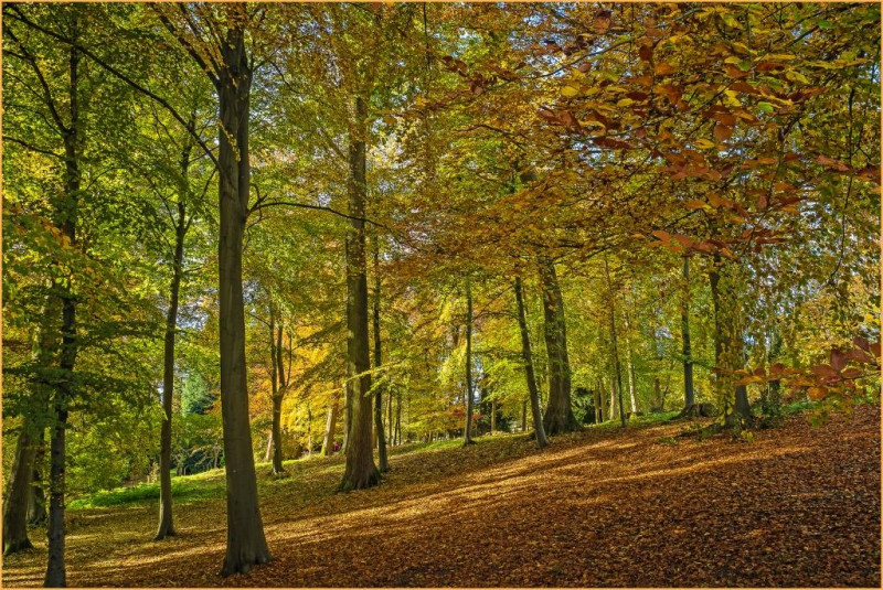 A photo of 'Batsford in sunlight' by G Holt