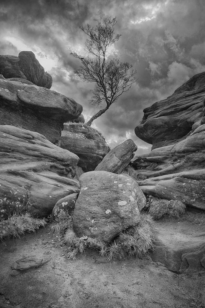 A photo of 'Brimham Rocks' by R. Dallywater	