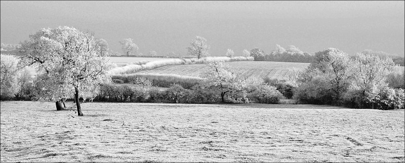 A photo of 'Haw Frost' by R. Jacques