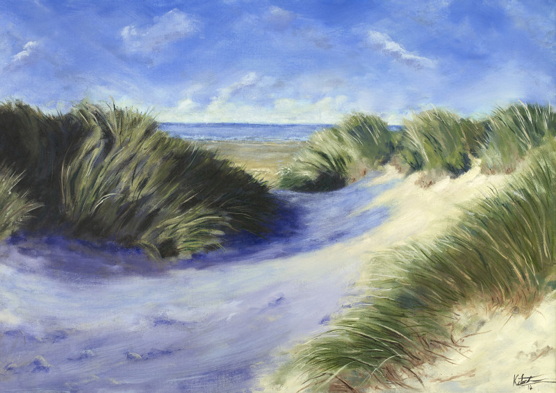 A photo of 'Barmouth Dunes' by Charles Kitchen ckitchen@xsmail.com