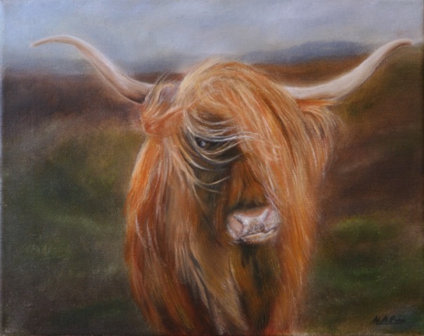 A photo of 'Highland Cow' by Neil Prior