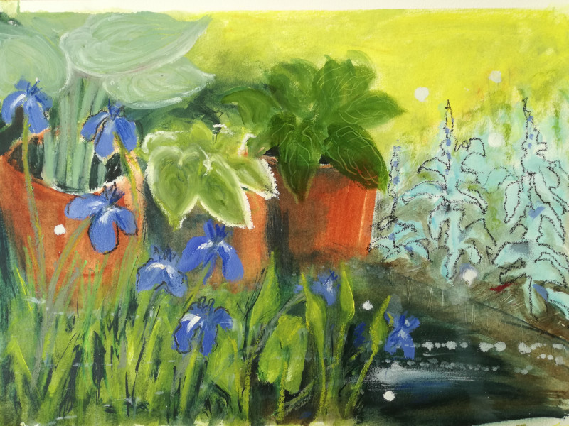 A photo of 'Irises in the Pond' by Chris Anne Taylor