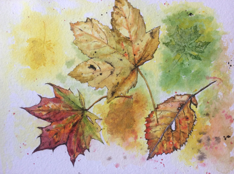 A photo of 'Autumn Falling Leaves' by Anne Turville Instagram @anneturville