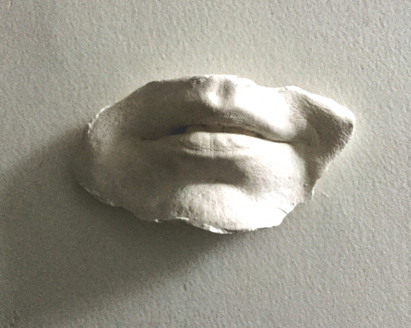 A photo of 'Life sized Lips' by Samantha Haskins