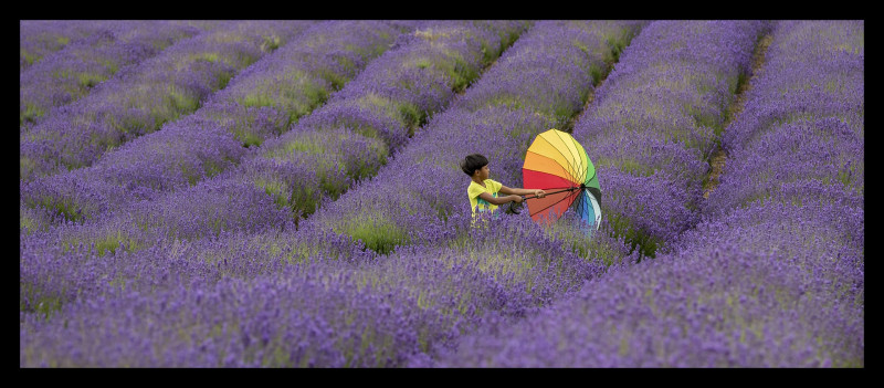 A photo of 'The Boy with the Rainbow Umbrella ' by Trish Rudin