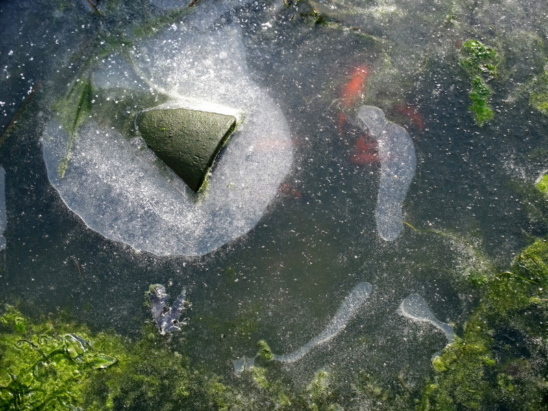 A photo of 'Frozen Pond' by David Kingston